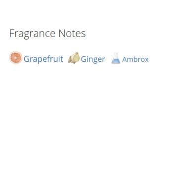 عطر ادکلن مردانه بولگاری تیگار