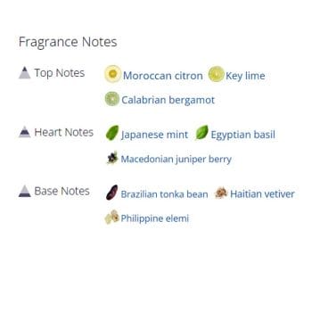 عطر ادکلن مردانه و زنانه سدرات نیوقا