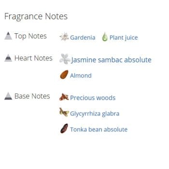 عطر ادکلن زنانه جاسمین نویر