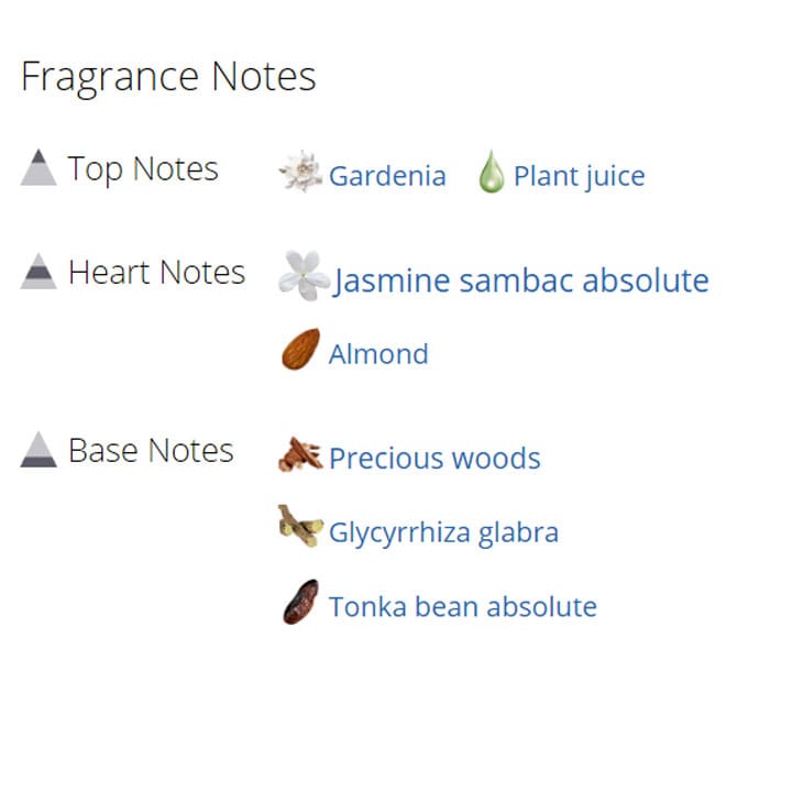 عطر ادکلن زنانه جاسمین نویر عطر ادکلن زنانه جاسمین نویر