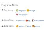 عطر ادکلن مردانه و زنانه پارفوم د رژ