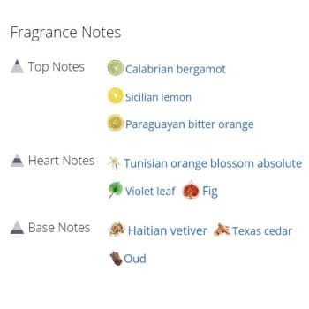 عطر ادکلن مردانه و زنانه وتیور فاتال