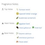 عطر ادکلن مردانه و زنانه تغف لو پوق