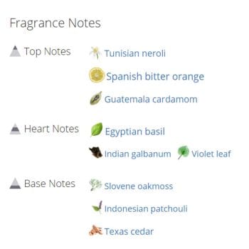 عطر ادکلن مردانه و زنانه تغف لو پوق