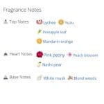 عطر ادکلن مردانه بریت شر