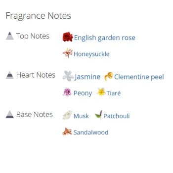 عطر ادکلن زنانه باربری لندن