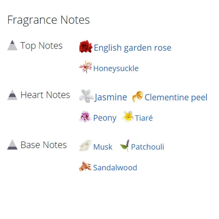 عطر ادکلن زنانه باربری لندن عطر ادکلن زنانه باربری لندن