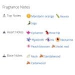 عطر ادکلن زنانه باربری ویکند زنانه