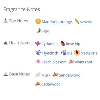 عطر ادکلن زنانه باربری ویکند زنانه