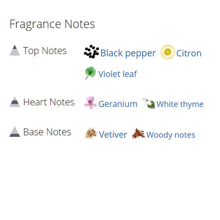 عطر ادکلن مردانه باربری دبیت عطر ادکلن مردانه باربری دبیت