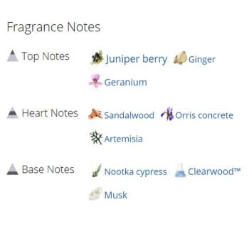 عطر ادکلن مردانه بولگاری گلاسیا