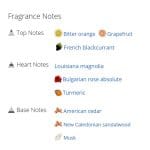 عطر ادکلن مردانه و زنانه آتلیه کلن ساد مگنولیا