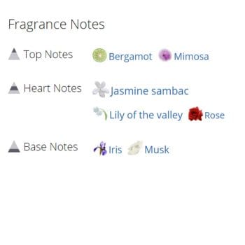 عطر ادکلن زنانه بولگاری وویل د جاسمین