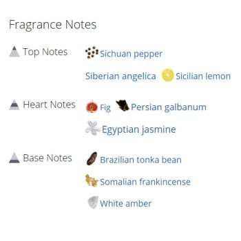 عطر ادکلن مردانه و زنانه جاسمن آنژلیک