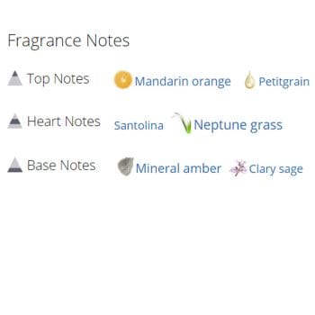 عطر ادکلن مردانه بولگاری آکوا پور هوم