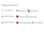 عطر ادکلن زنانه امنیا کورال