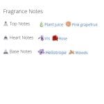 عطر ادکلن زنانه امنیا آماتیس