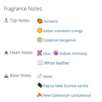 عطر ادکلن مردانه و زنانه میموسا ایندیگو