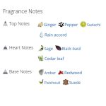 عطر ادکلن مردانه ایفوریا