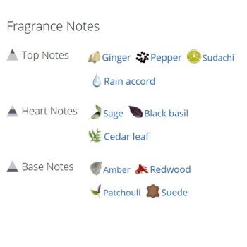 عطر ادکلن مردانه ایفوریا