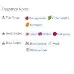 عطر زنانه ایفوریا بلوسوم کلوین کلاین