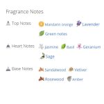 عطر ادکلن مردانه اترنیتی