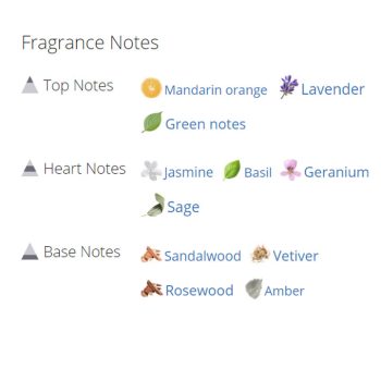 عطر ادکلن مردانه اترنیتی