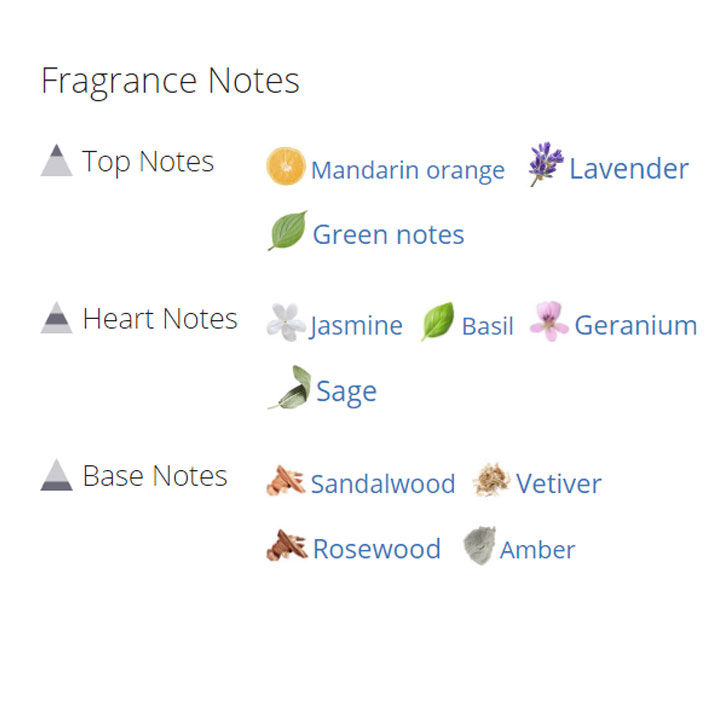 عطر ادکلن مردانه اترنیتی عطر ادکلن مردانه اترنیتی