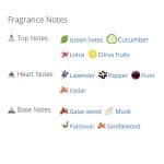 عطر ادکلن مردانه اترنیتی آکوا