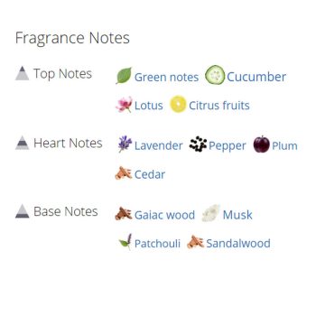 عطر ادکلن مردانه اترنیتی آکوا