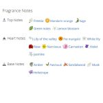 عطر ادکلن زنانه اترنیتی