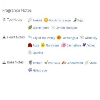 عطر ادکلن زنانه اترنیتی