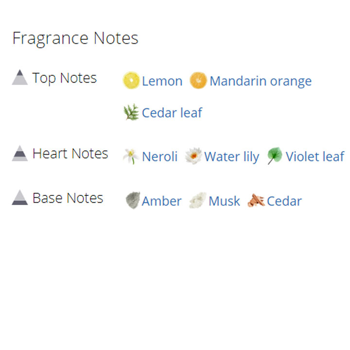 عطر ادکلن مردانه سی کی وان الکتریک عطر ادکلن مردانه سی کی وان الکتریک