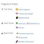 عطر ادکلن مردانه و زنانه سیلور ایریش