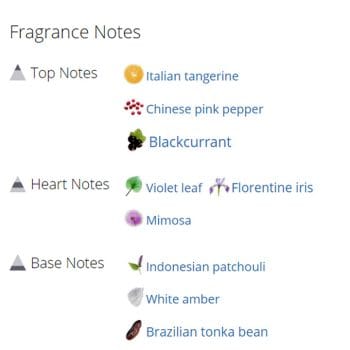 عطر ادکلن مردانه و زنانه سیلور ایریش