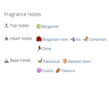 عطر ادکلن زنانه و مردانه نایت فال پچولی