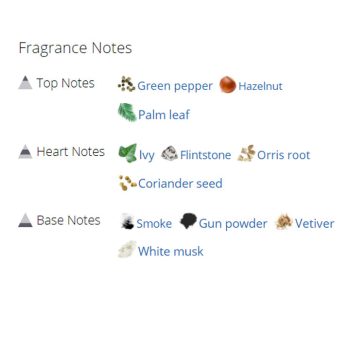 عطر ادکلن مردانه امزینگرین