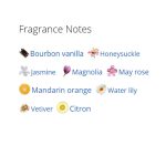 عطر ادکلن زنانه آلور