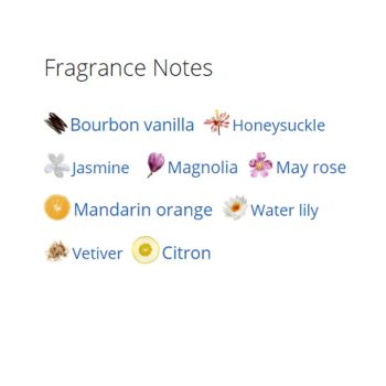 عطر ادکلن زنانه آلور