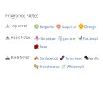 عطر ادکلن زنانه کوکو نویر