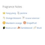 عطر ادکلن زنانه گابریل