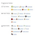 عطر ادکلن مردانه  شنل آلور هوم