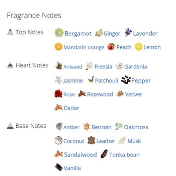 عطر ادکلن مردانه شنل آلور هوم