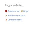 عطر ادکلن زنانه و مردانه برنینگ رز