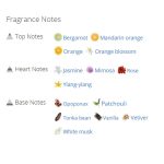 عطر و ادکلن زنانه شنل کوکو مادمازل ادو پرفیوم