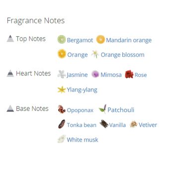 عطر و ادکلن زنانه شنل کوکو مادمازل ادو پرفیوم