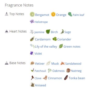 عطر ادکلن مردانه دیزل پلاس پلاس مس کلاین