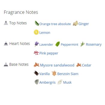 عطر ادکلن مردانه کرید اوریجینال سانتال