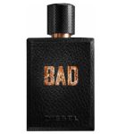 عطر ادکلن مردانه دیزل بد