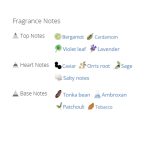 عطر ادکلن مردانه دیزل بد